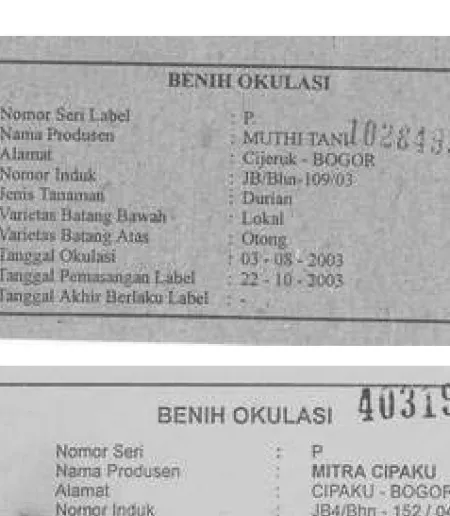Gambar 10. Label merah yang dikeluarkan BPSB