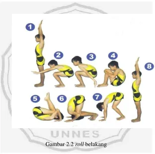 Gambar 2.2 roll belakang 