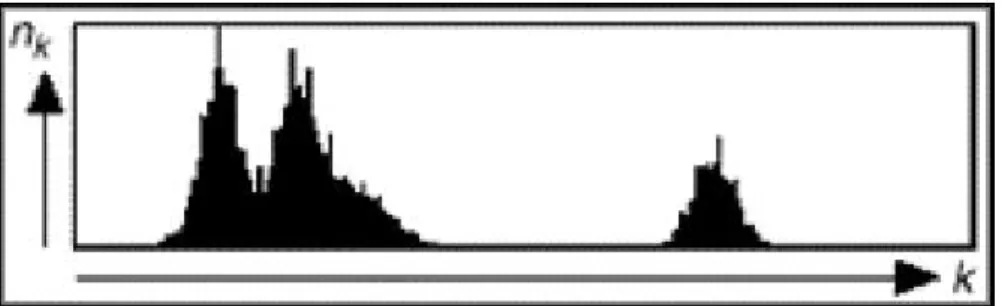 Gambar 2.1 Histogram Citra (Sutoyo, 2009) 