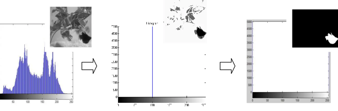 Gambar 5.1(a)Hasil grayscale (b)Hasil threshold (c) Hasil segmentasi ikan  Hasil deskripsi ikan dari komputer akan masuk ke microntroller arduino untuk  mengatur pergerakan servo motor dalam menggerakkan katup