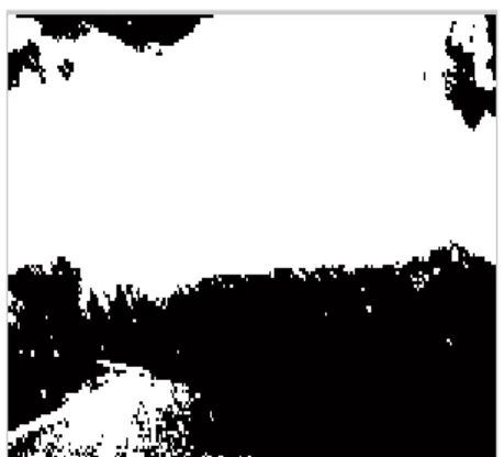 Gambar 2.3 Contoh Citra Biner 