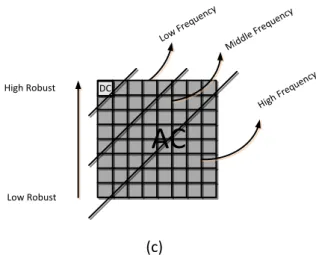 Gambar 3 (a) DCT Zigzag, (b) DCT coefficient and (c) Frekuensi divisi dari DCT  Menurut Cummins  (Cummins  et  al