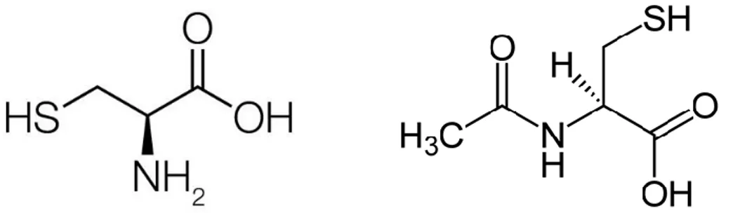 Gambar 6. Struktur molekul N-Asetil Sistein (Heloisa dkk, 2005) 