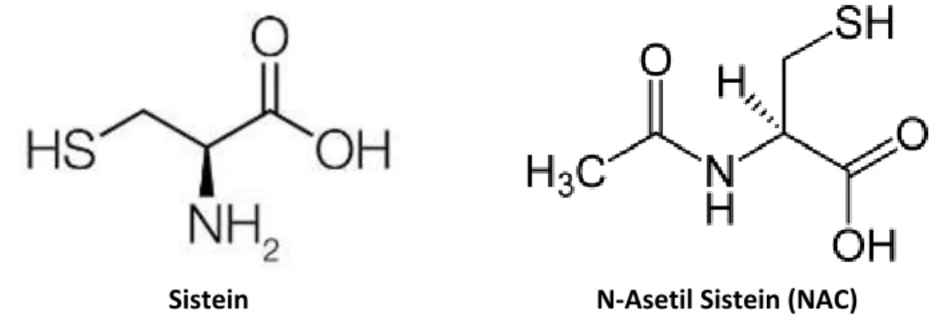 Gambar 2.6. Struktur molekul N-Asetil Sistein (Heloisa, 2005)  Farmakodinamik N-Asetil Sistein:  