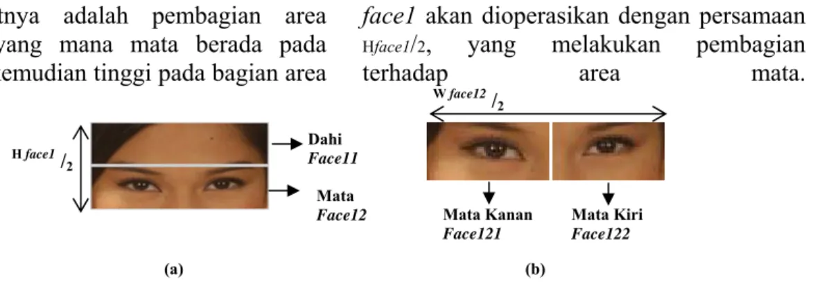 Gambar 2. (a) Penerkaan Posisi Mata (b) Pembagian Area Posisi Mata  Daerah mulut dicari dengan membagi 