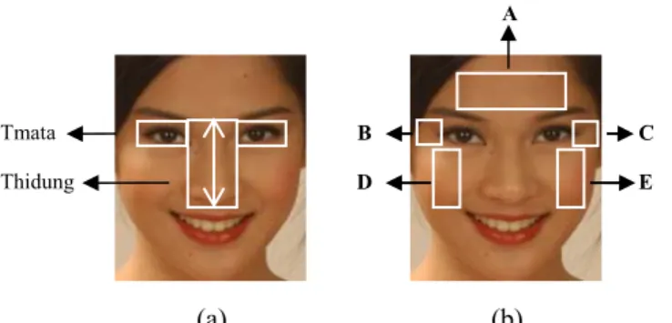 Gambar 4. (a) Ekstraksi Fitur Utama (b) Ekstraksi Fitur Kerut Wajah: A area dahi, B  area sudut mata kanan, C area sudut mata kiri, D area pipi kanan, E area pipi kiri