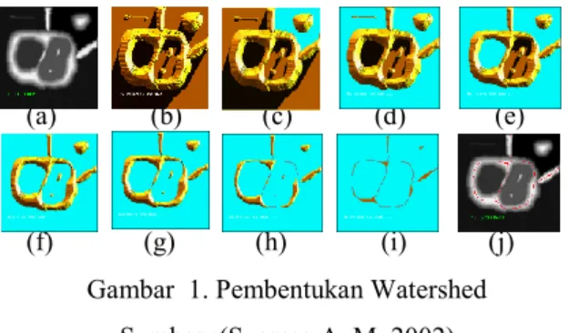 Gambar  1(a)  adalah  citra  asli  sedangkan  Gambar  1(b)  adalah  citra  topografi.  Citra  topografi  adalah  bentuk  citra  tiga  dimensi  jika  dilihat  dari  atas