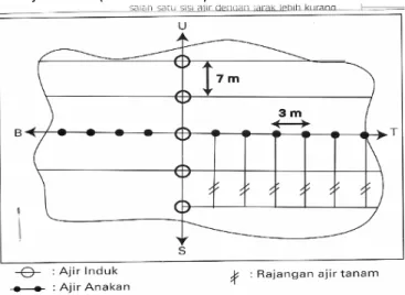 Gambar 1. Cara Pengajiran pada Lahan Datar     