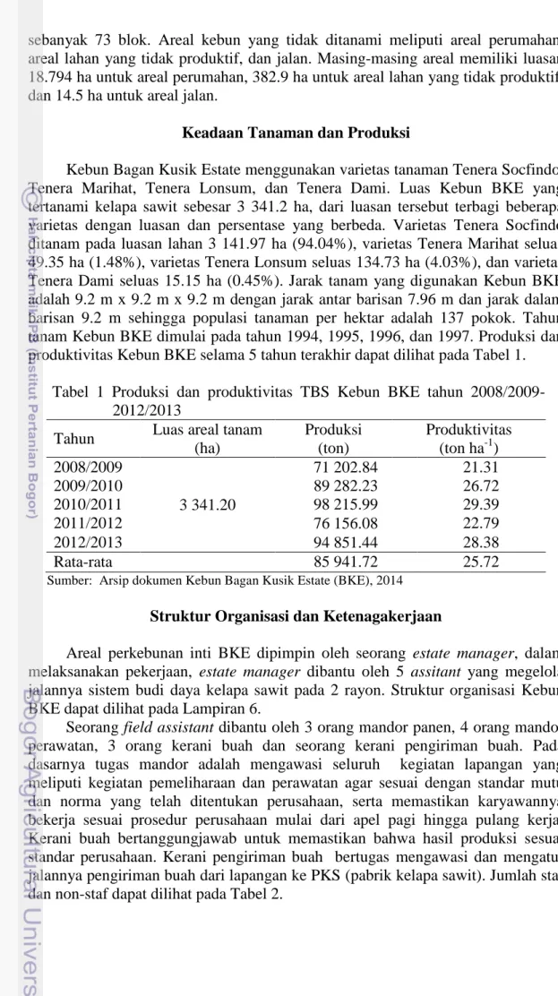 Tabel  1  Produksi  dan  produktivitas  TBS  Kebun  BKE  tahun  2008/2009-   2012/2013 