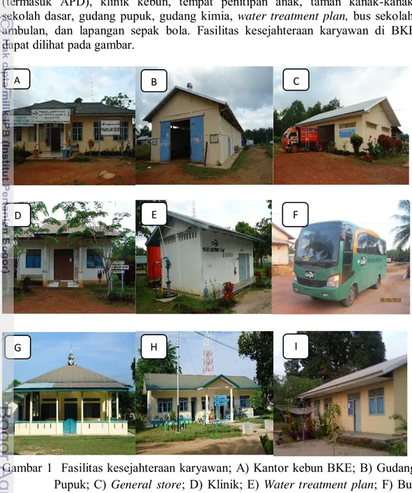 Gambar 1  Fasilitas kesejahteraan karyawan; A) Kantor kebun BKE; B) Gudang  Pupuk; C) General store; D) Klinik; E) Water treatment plan; F) Bus  sekolah; G) Masjid; H) Taman kanak-kanak; I) Perumahan karyawan 