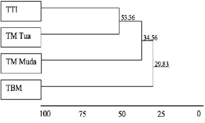 Tabel 2.   Nilai koefisien komunitas berdasarkan  analisis vegetasi dari 2 komunitas yang  berbeda 