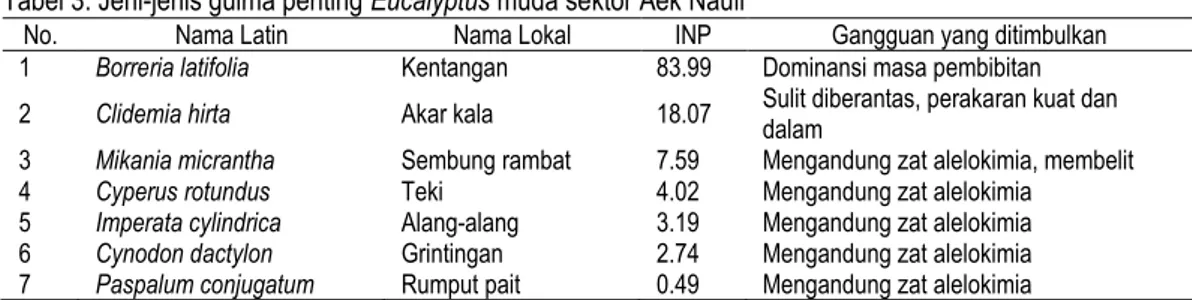 Tabel 3. Jeni-jenis gulma penting Eucalyptus muda sektor Aek Nauli 