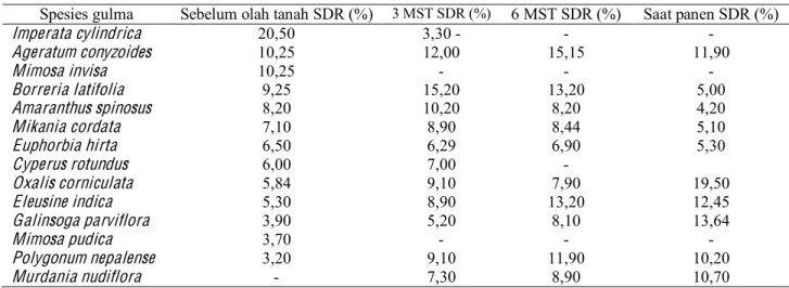 Tabel 2. Komposisi spesies gulma (SDR) pada lahan pertanaman jagung manis sebelum pengolahan tanah, 3 dan 6  minggu setelah tanam serta saat panen dengan tanpa mulsa dan jarak tanam 60 × 25 cm 