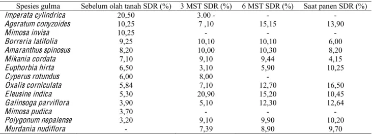 Tabel 5. Komposisi  spesies  gulma  (SDR)  pada  lahan  pertanaman  jagung  manis  sebelum  pengolahan  tanah,  3  dan  6  minggu setelah tanam serta saat panen dengan tanpa mulsa dan jarak tanam 120 × 25 cm 