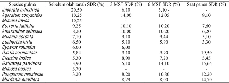 Tabel 8. Pergeseran komposisi spesies gulma (SDR) pada lahan pertanaman jagung manis sebelum pengolahan tanah, 3  dan 6 minggu setelah tanam serta saat panen dengan mulsa alang-alang dan jarak tanam 80 × 25 cm 