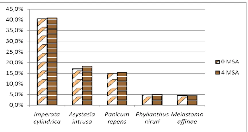 Gambar  5.    Pergeseran  Dominansi  Spesies  Gulma  dengan  Aplikasi  Bahan  Aktif Triasulfuron 75% 