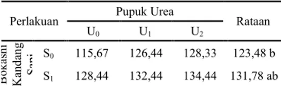 Tabel 1. Hasil  Uji  Beda  Rataan  Pengaruh  Pemberian  Bokashi  Kotoran  Sapi  dan  Pupuk  Urea  Terhadap  Tinggi  Tanaman  Jagung  Manis  (cm)  Umur  6  MST