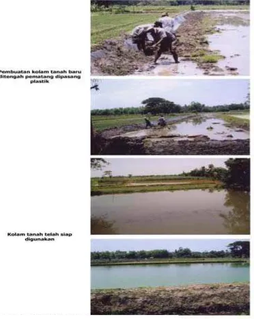 Gambar 4. Pembuatan Kolam dan Kolam Tanah 