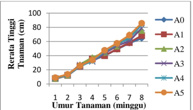 Tabel  1.  Hasil  Perhitungan  Terhadap  Rerata  Tinggi  Sambiloto  (Andrograpis  paniculata  Nees.)  Minggu Ke-1 Sampai Minggu Ke-8 Perlakuan  Rerata Tinggi Tanaman (cm) 