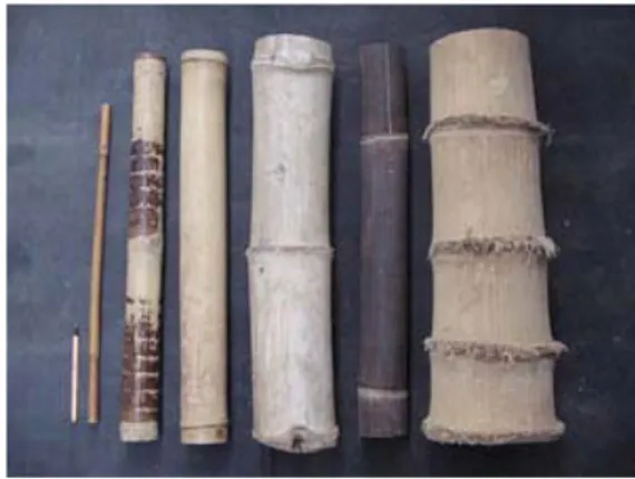 Gambar 8 Jenis Bambu untuk Konstruksi Bangunan, Mebel, dan Kerajinan Tangan   (dari kanan ke kiri: petung, wulung, ori, apus, tutul, dan cendani) 