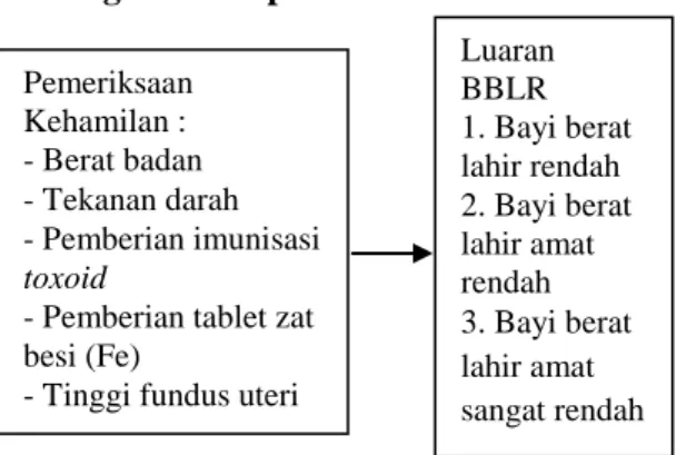 Gambar 2. Kerangka Konsep   METODE  