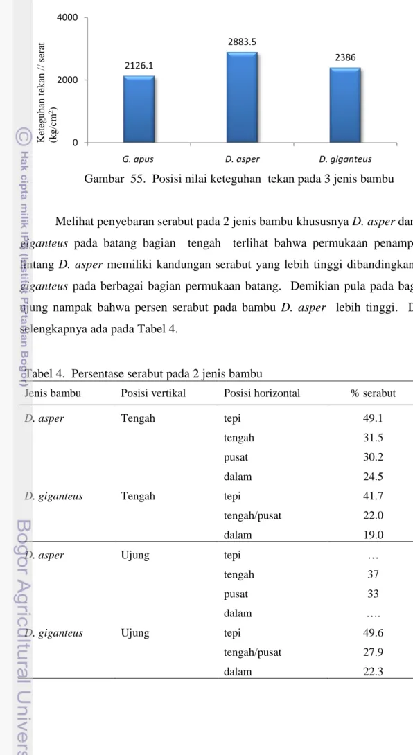 Gambar  55.  Posisi nilai keteguhan  tekan pada 3 jenis bambu