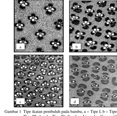 Gambar 1  Tipe ikatan pembuluh pada bambu, a = Tipe I, b = Tipe II, c =  Tipe III, dan d = Tipe IV