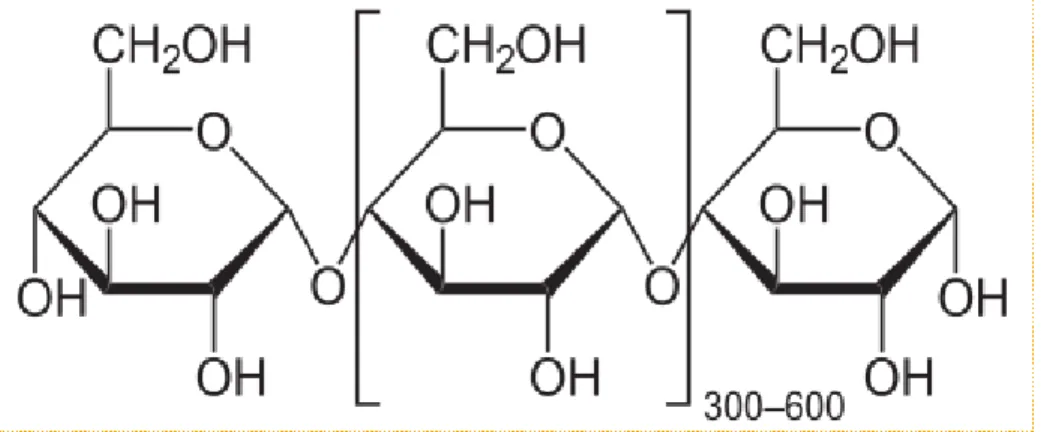 Gambar 5.1. Struktur amilosa 