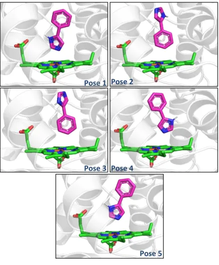 Gambar 7 Visualisasi ligan ko-kristal PIM hasil penambatan ulang menggunakan Autodock Vina 