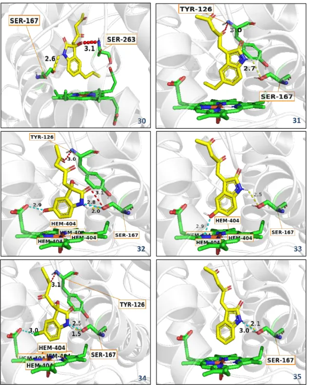 Gambar 9 Visualisasi interaksi ligan 14-35 terhadap makromolekul 2D0T 