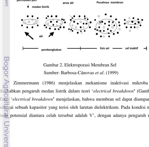 Gambar 2. Elektroporasi Membran Sel    Sumber: Barbosa-Cánovas et al. (1999) 