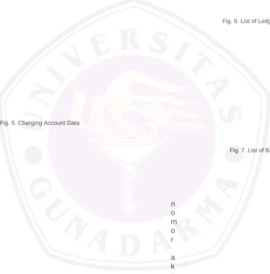 Fig. 5. Charging Account Data   