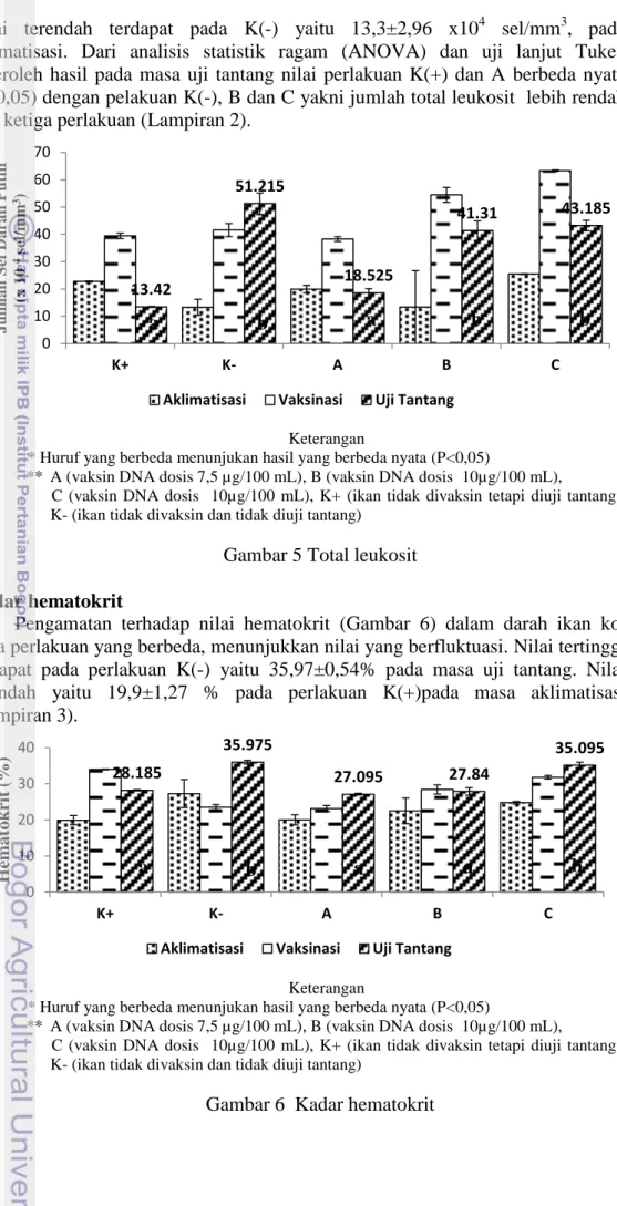 Gambar 5 Total leukosit  Kadar hematokrit 