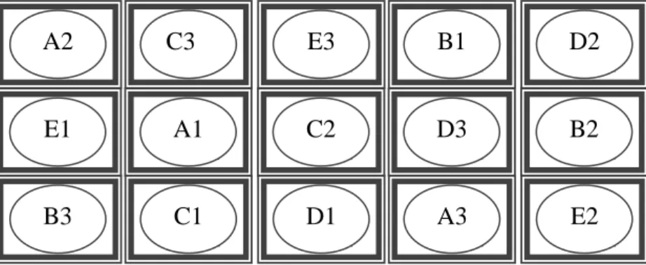 Gambar 1. Tata letak satuan percobaan  Keterangan :  A, B, C, D, E  = Perlakuan 