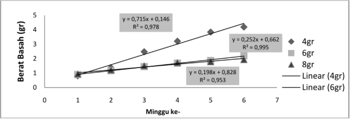 Diagram  6:  Regresi  pertumbuhan  berat  basah  tanaman  selada  (Lactuca  sativa  L) selama 6 minggu pada hidroponik mini 