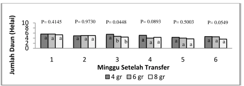 Diagram 1: Diagram perubahan jumlah daun selada (Lactuca sativa L) minggu  ke-1 sampai minggu ke-6 setelah transfer