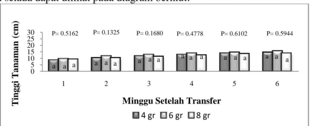 Diagram  2:  Diagram  perubahan  tinggi  tanaman  selada  (Lactuca  sativa  L)  minggu ke-1 sampai minggu ke-6 setelah transfer