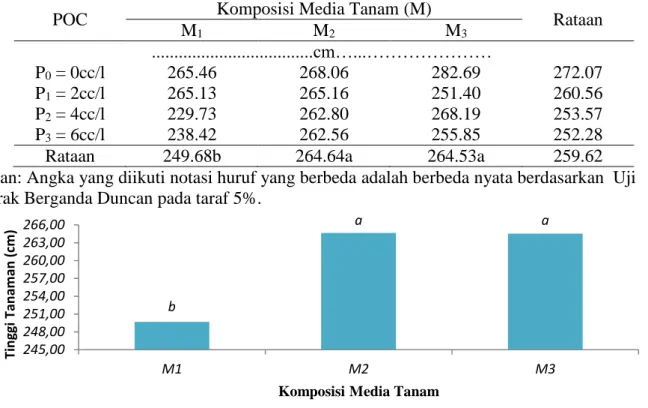 Gambar 1. Pengaruh perlakuan komposisi media tanam terhadap tinggi tanaman 6 MSPT. 
