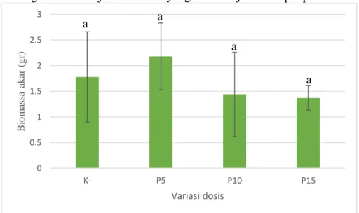 Gambar  4.5  Perbedaan  dengan  perlakuan  variasi  dosis  terhadap  biomassa akar tanaman terong hijau pada minggu ke-14