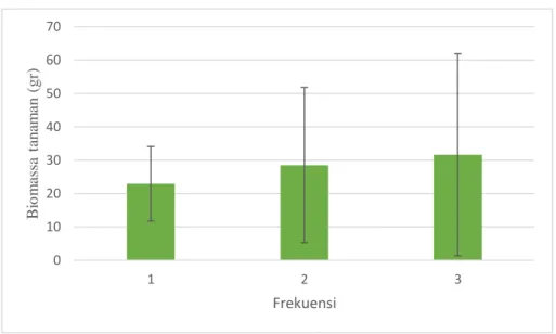 Gambar  4.8  Perbedaan  dengan  perlakuan  frekuensi  pemberian  terhadap biomassa tanaman terong hijau pada minggu  ke-14