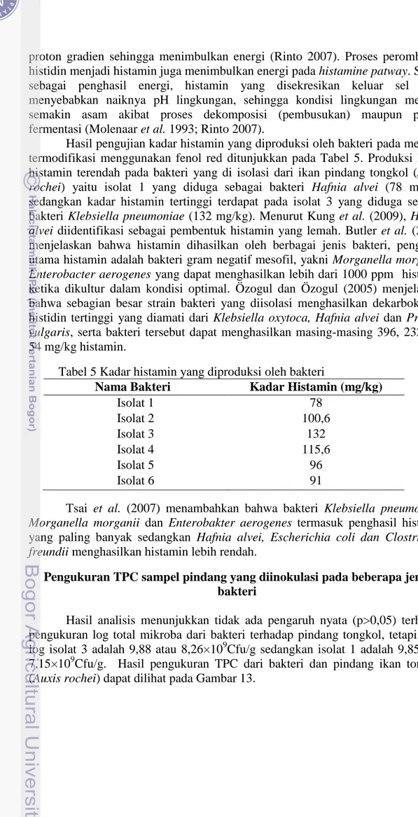 Tabel 5 Kadar histamin yang diproduksi oleh bakteri  