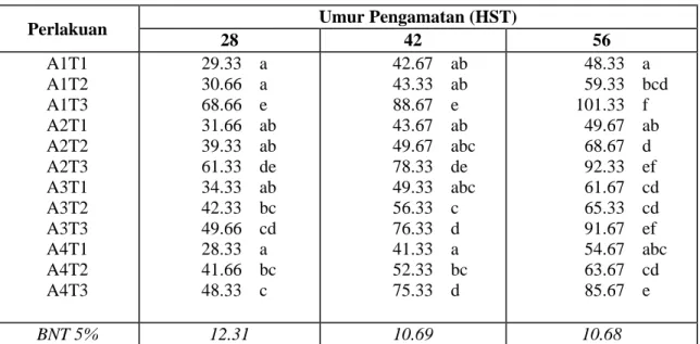 Tabel  2.  Rata-Rata Jumlah Daun Helai Pada Kombinasi Interval Pemberian Air Dan Berbagai  Jenis Tanah Pada Umur Pengamatan 28, 42, dan 56 HST