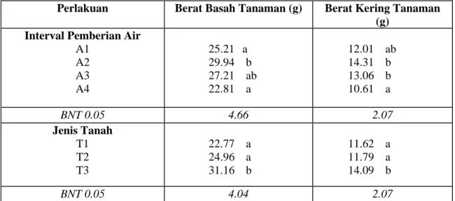 Tabel 3.   Rata-Rata Berat Basah dan Berat Kering Tanaman (g) Pada Kombinasi Interval  Pemberian Air dan Berbagai Jenis Tanah