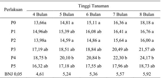 Tabel 1. Rata-rata Tinggi Tanaman Anggrek Dendrobium Umur 4,5,6,7 dan 8 Bulan. 
