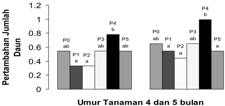 Grafik 1. Pertambahan Jumlah Daun Anggrek Dendrobium Umur 4 dan 5 Bulan. 