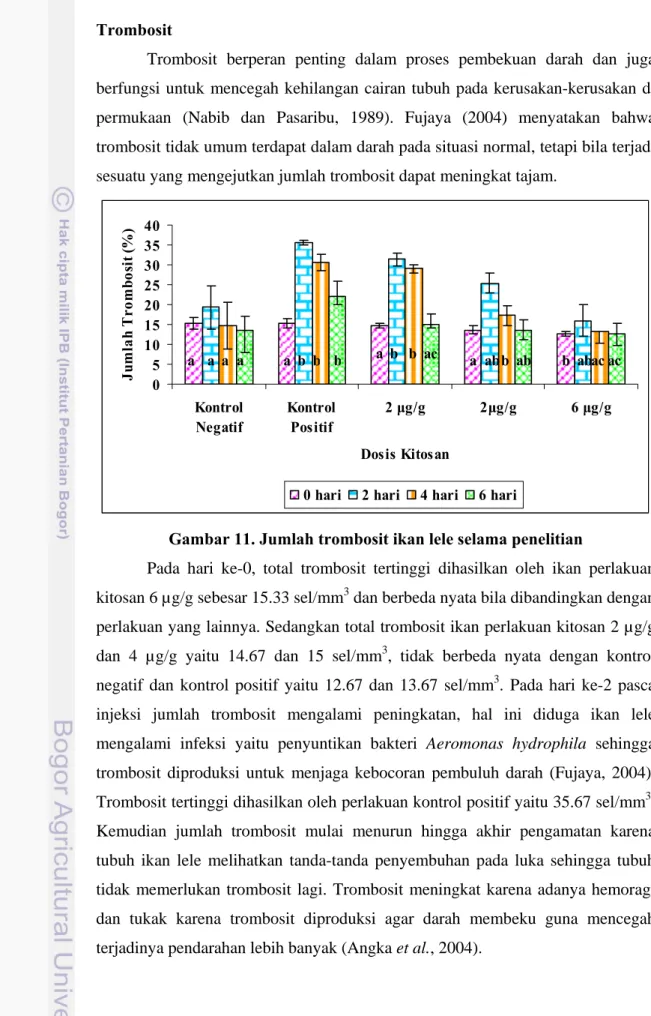 Gambar 11. Jumlah trombosit ikan lele selama penelitian 