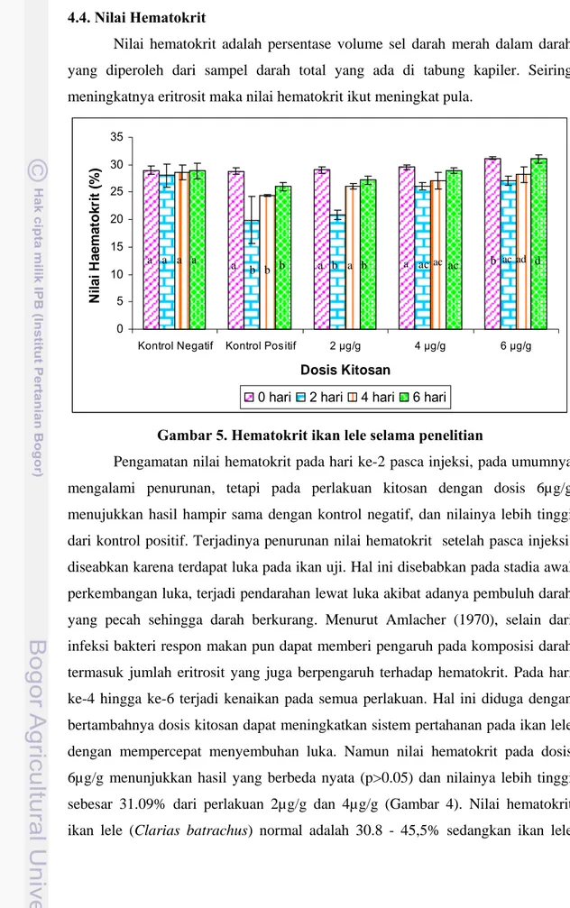 Gambar 5. Hematokrit ikan lele selama penelitian 