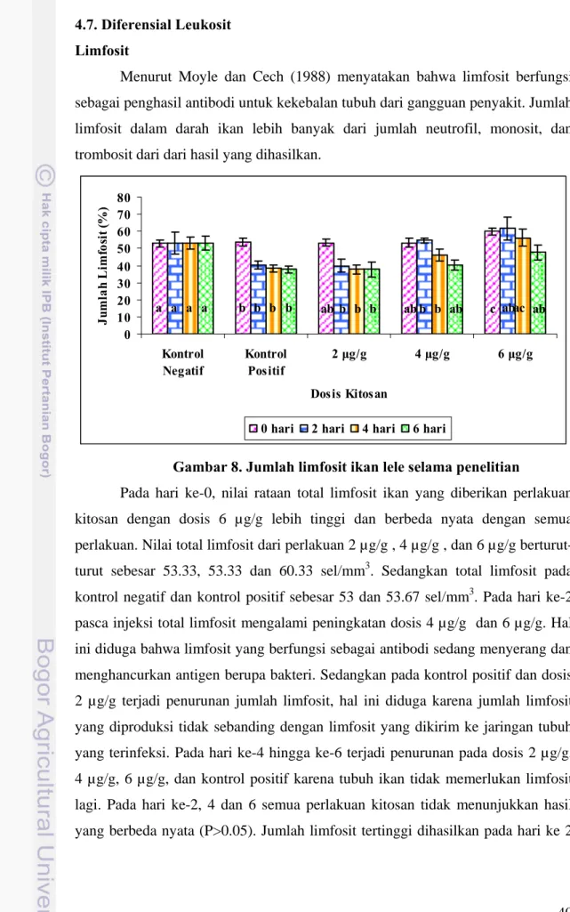 Gambar 8. Jumlah limfosit ikan lele selama penelitian 