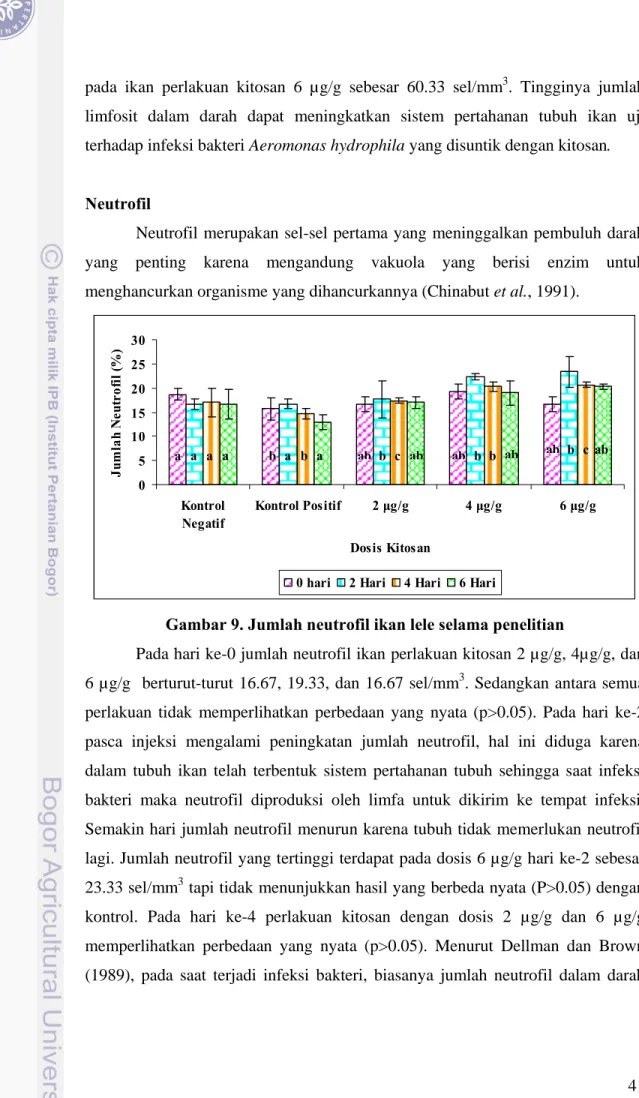 Gambar 9. Jumlah neutrofil ikan lele selama penelitian 