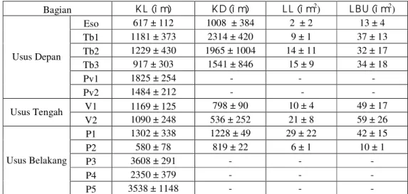 Tabel 1  Daftar nilai keliling luar (KL), keliling dalam (KD), luas lumen (LL), dan luas bidang  usus (LBU) setiap bagian saluran pencernaan rayap kasta prajurit N